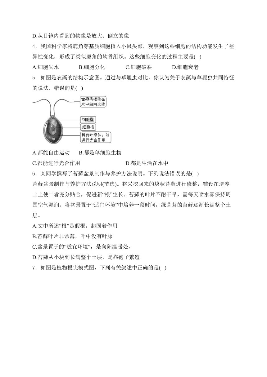 2024届湖南省中考生物模拟五月冲刺卷 (含解析)【湖南专用】