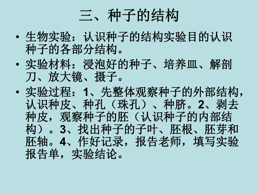 北师大版七年级上册生物课件 6.1 种子萌发形成幼苗  课件 （共21张PPT）