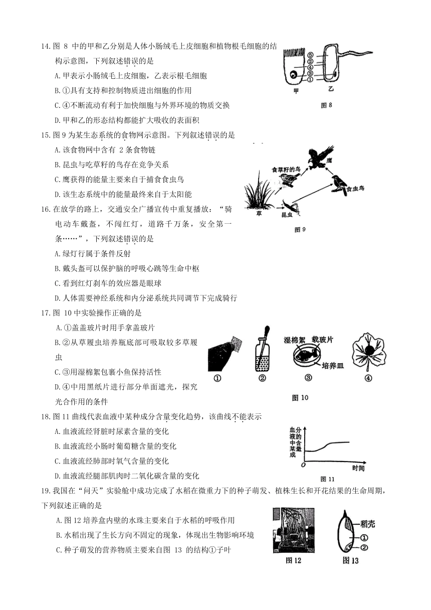 2024年江苏省徐州市县区联考中考二模地理 生物试题（无答案）