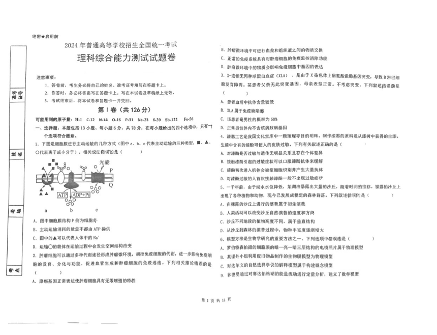 2024届宁夏回族自治区银川一中高考模拟理综试题（PDF版无答案）