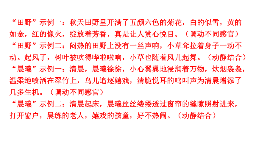 2024年四川中考语文二轮复习 扩展语句，压缩语段考点突破集训 课件(共29张PPT)