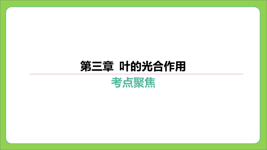 第一篇 第三单元 第三章 叶的光合作用  课件(共38张PPT) 2024中考生物总复习专题突破(冀少版)