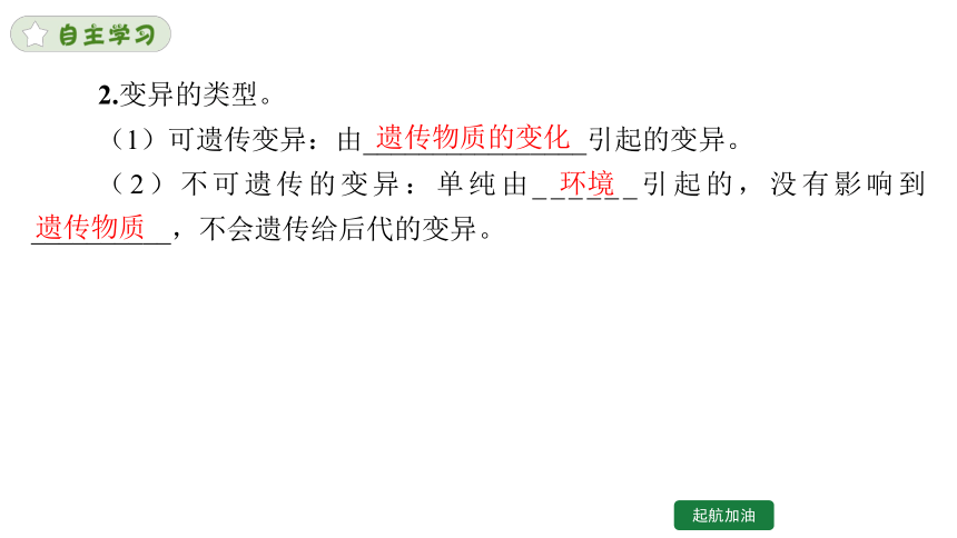 7.2.5 生物的变异课件(共26张PPT)人教版八年级下册