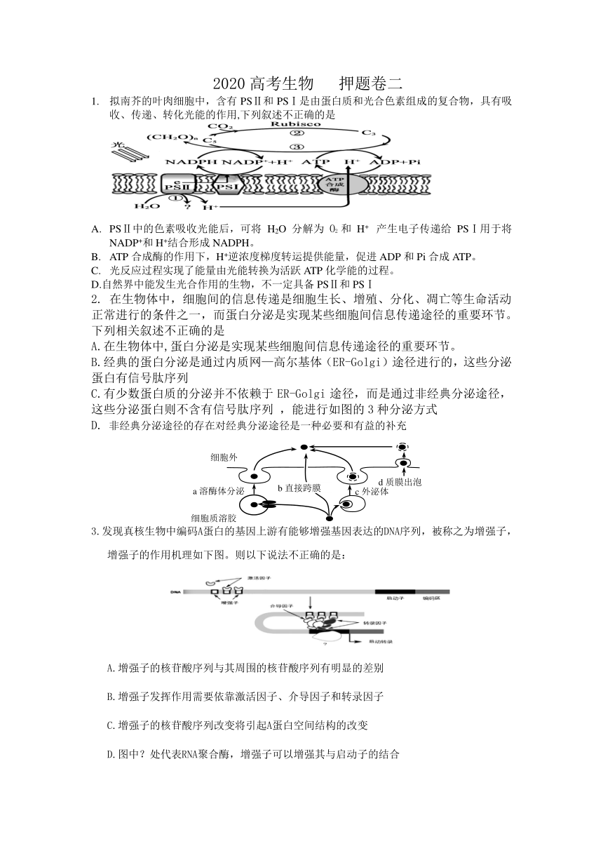 2020年北京高考生物押题试卷二