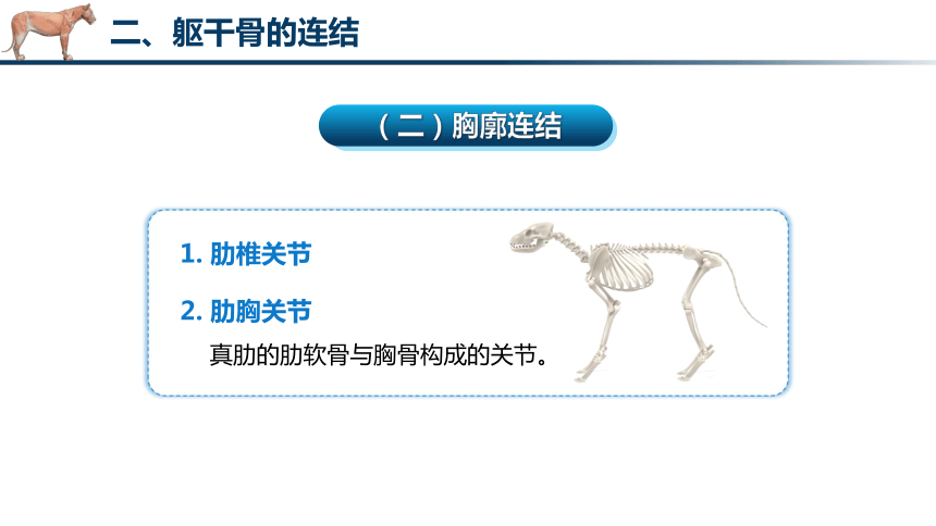 2.2 骨连结的识别 课件(共26张PPT)《畜禽解剖生理（第四版）》同步教学(高教版)