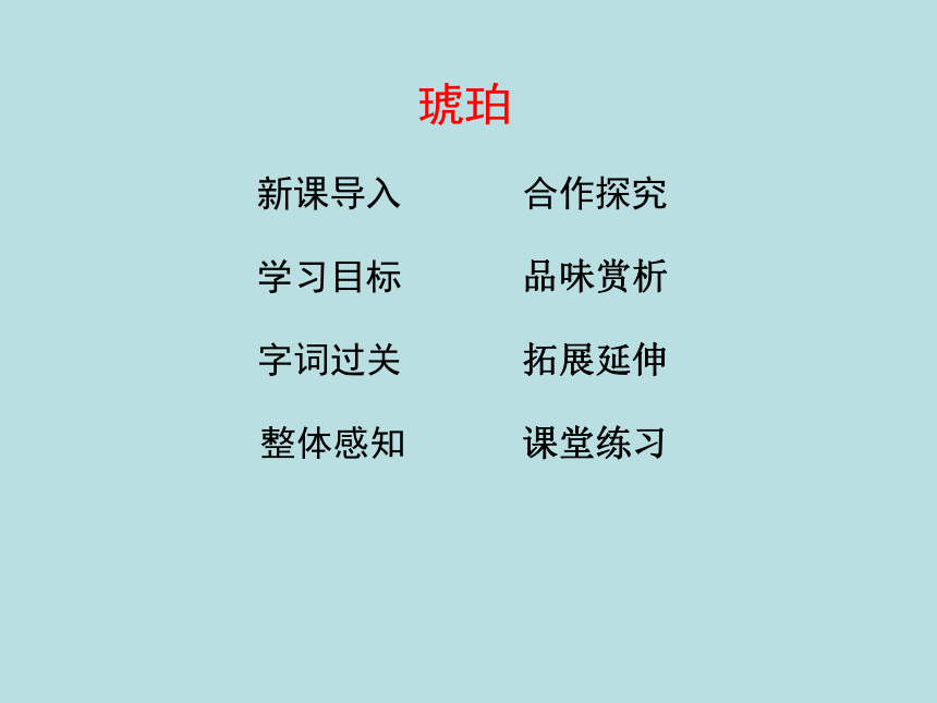 5 琥珀 课件（21张）