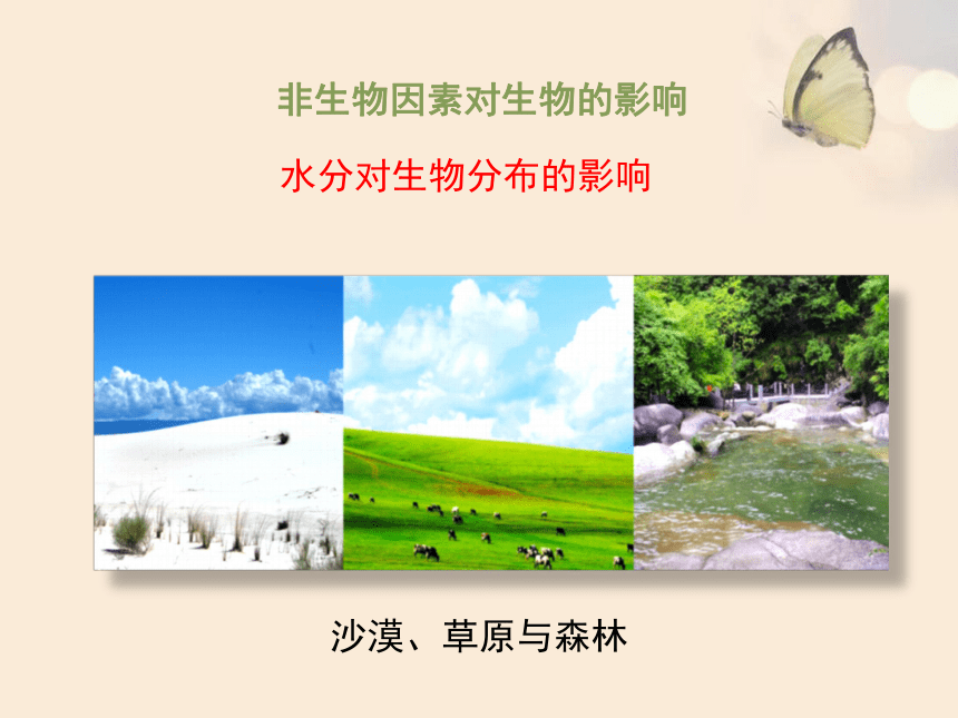 北师大版八年级生物下册 8.23.1 生物的生存依赖一定的环境课件(共28张PPT)