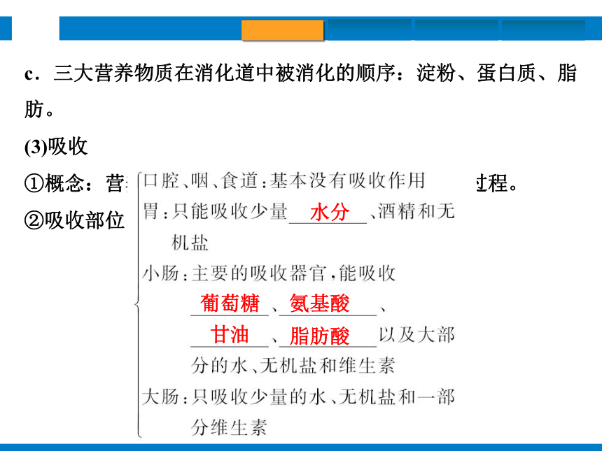 2024浙江省中考科学复习第6讲　动物的新陈代谢（1）（课件 50张PPT）