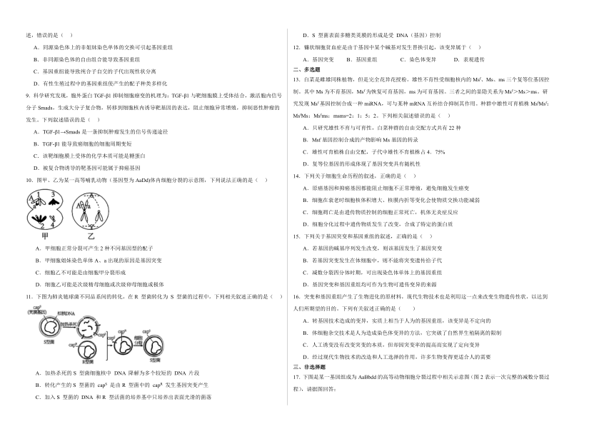 5.1基因突变和基因重组  练习（含解析）-2023-2024学年高一下学期生物人教版必修2