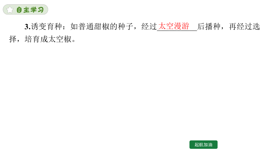 7.2.5 生物的变异课件(共26张PPT)人教版八年级下册