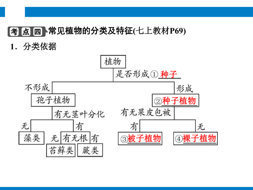 2024浙江省中考科学复习 第1讲　生物的分类（课件 54张PPT）