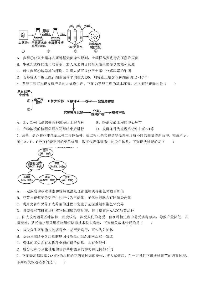 吉林省白山市抚松县第一中学2023-2024学年高二下学期5月期中考试生物学试题（含答案）