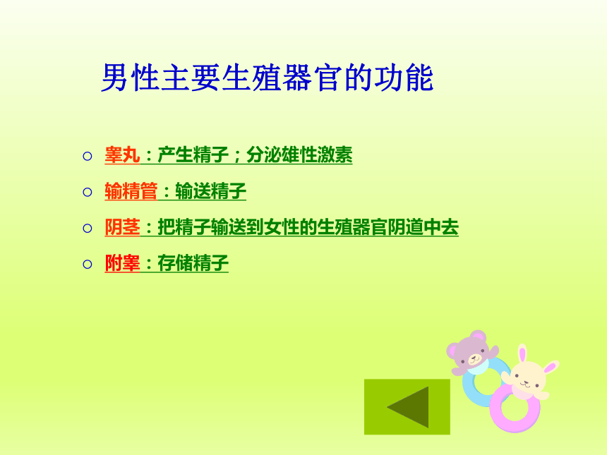 苏教版七年级下册生物 8.1 精卵结合孕育新的生命 课件(25张PPT)