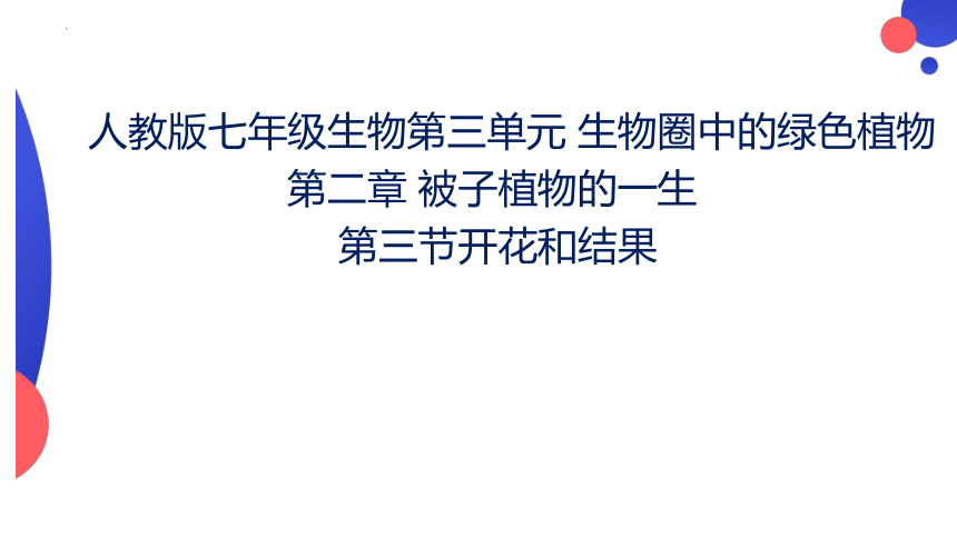 3.2.3开花和结果课件(共21张PPT)2023--2024学年人教版生物七年级上册