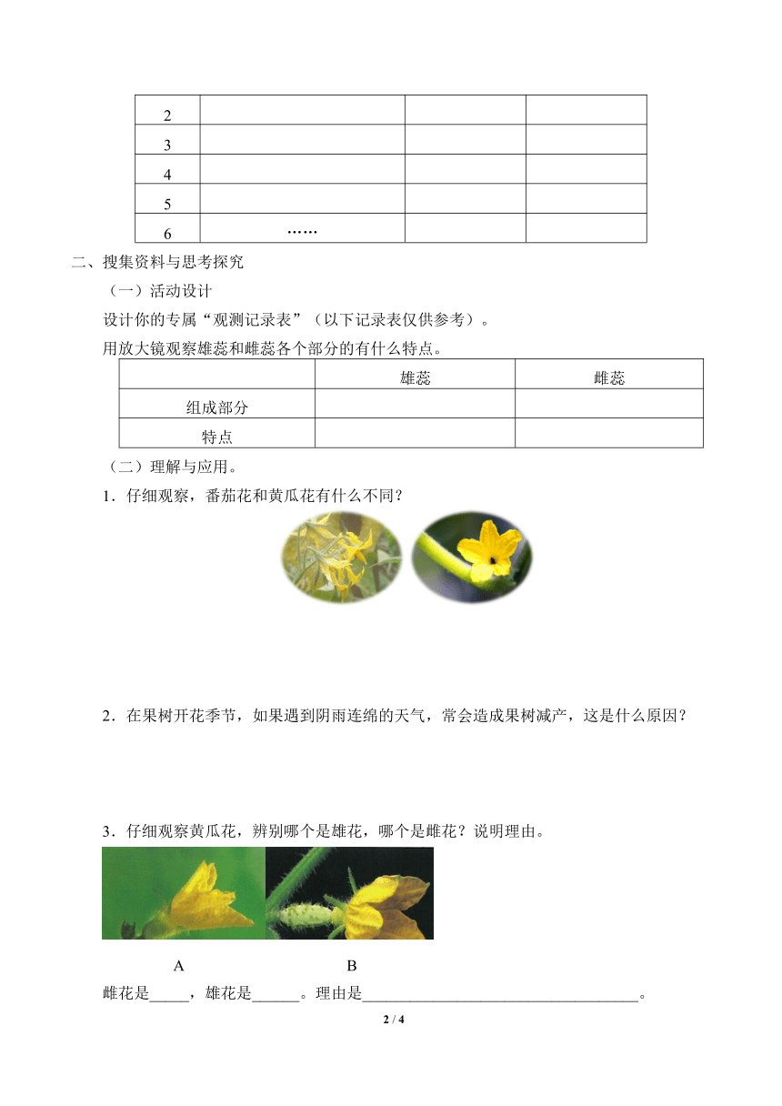 1.3.植物开花了 学案（无答案）