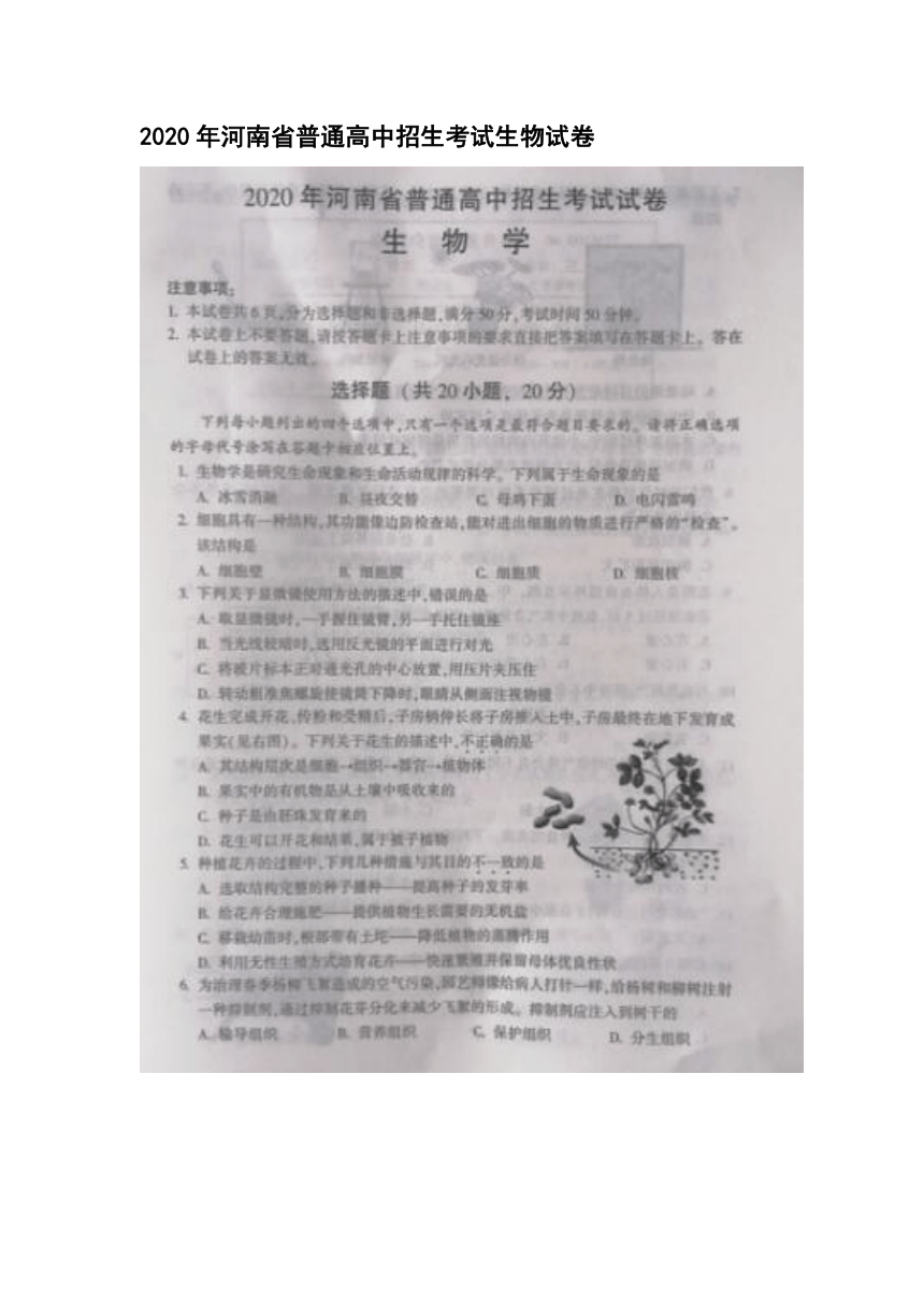 2020年河南省普通高中招生考试生物试卷（图片版  含答案）