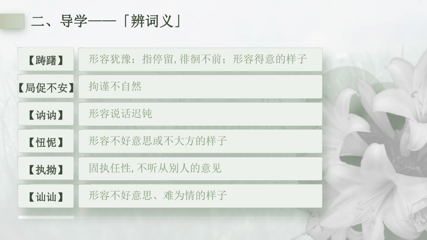 3.1《百合花》课件（共30张PPT）  2023-2024学年统编版高中语文必修上册