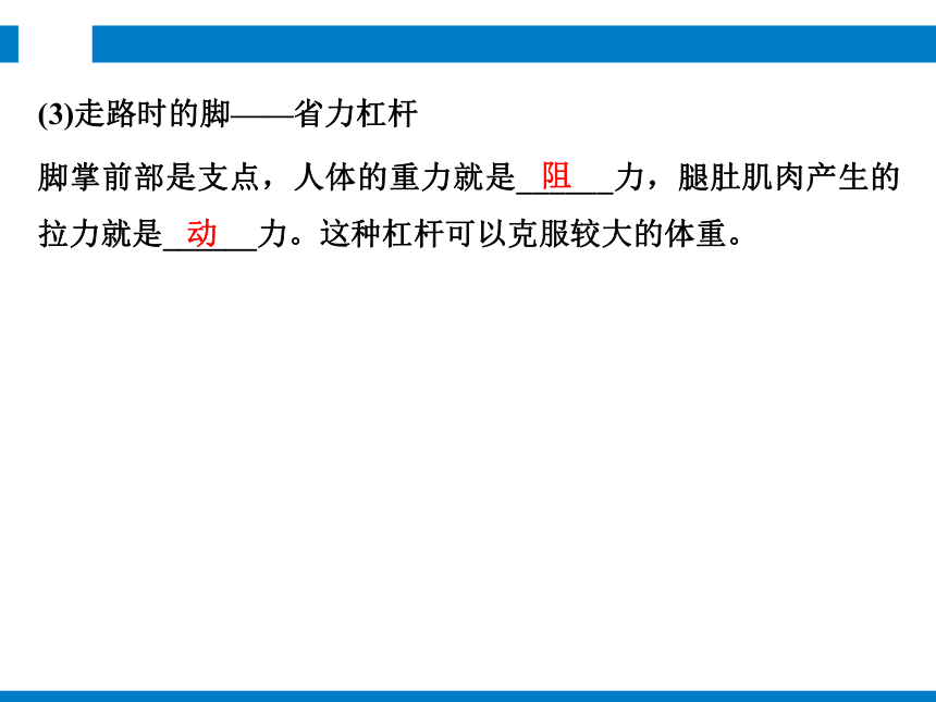 2024浙江省中考科学复习第20讲   简单机械（课件 51张PPT）