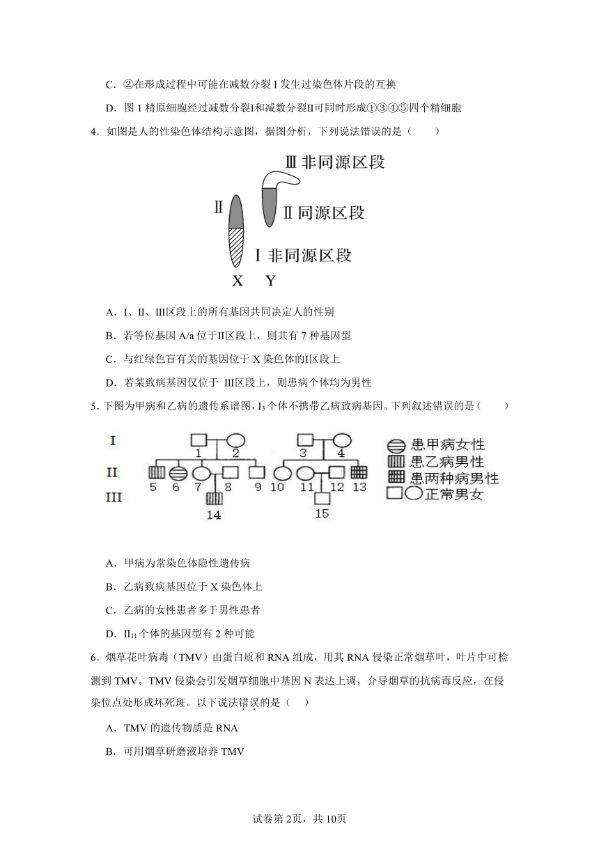 2023-2024学年湖南省长沙市浏阳市重点校联考高一下学期期中生物测试卷（含答案）