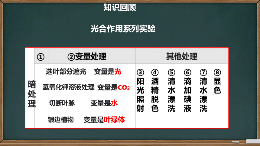 3.6.4 植物的呼吸作用  课件(共20张PPT)2023--2024学年苏教版生物七年级上册