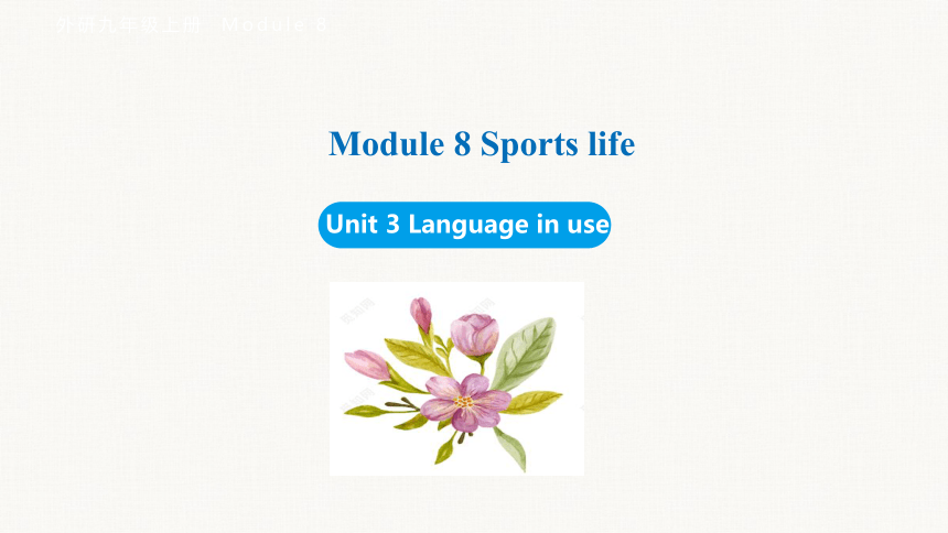 Module 8 Unit 3 Language in use课件(共32张PPT) 外研（新标准）版九年级上册
