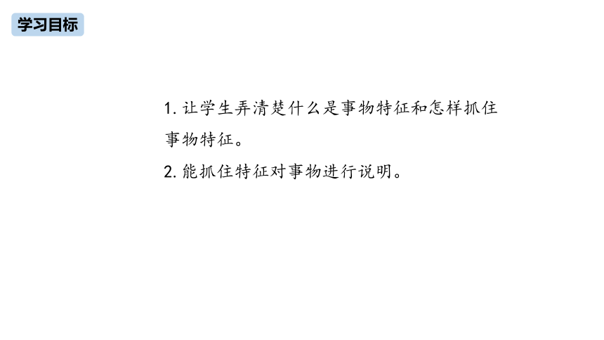 统编版语文八年级上册第5单元 写作：说明事物要抓住特征课件（26张PPT)