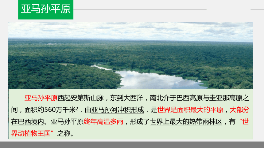 湘教版七年级地理下册8．6巴西课件共46张PPT