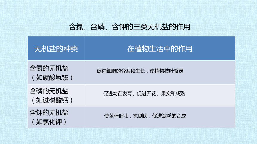 京改版七年级生物上册第四章《生物的营养》复习课件(共82张PPT)