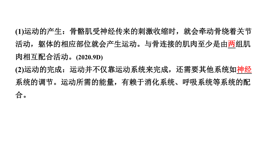 2024江西中考生物二轮中考考点研究 主题六 动物的运动和行为 课件(共43张PPT)