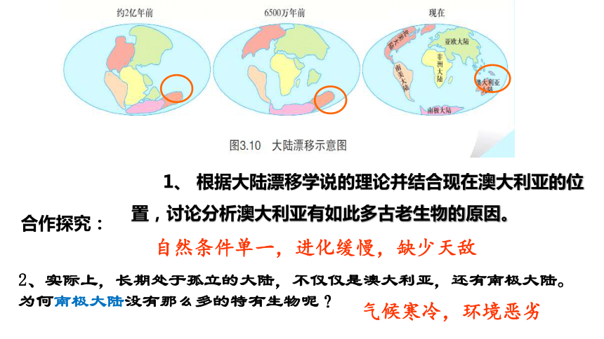 10.3 大洋洲概述 课件(共41张PPT)  七年级地理下学期粤教版版