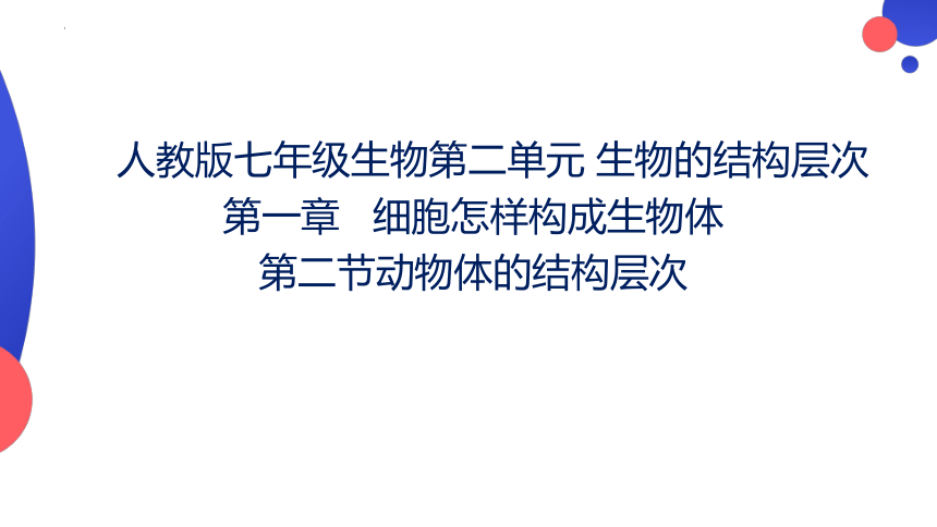 2.2.2动物体的结构层次课件(共24张PPT)2023--2024学年人教版生物七年级上册