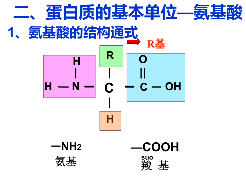 人教版必修1高中生物2.2-生命活动的主要承担者——蛋白质(47张PPT)