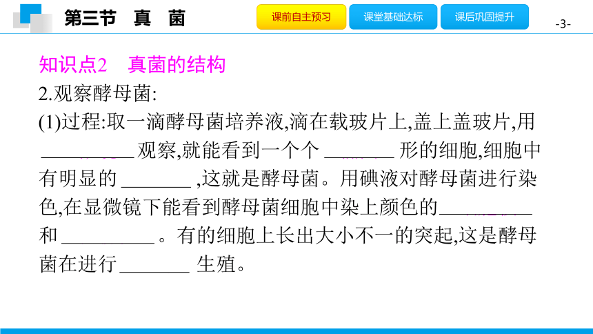 5.4.3 真　菌-2020年秋人教版八年级上册生物课件(共28张PPT)