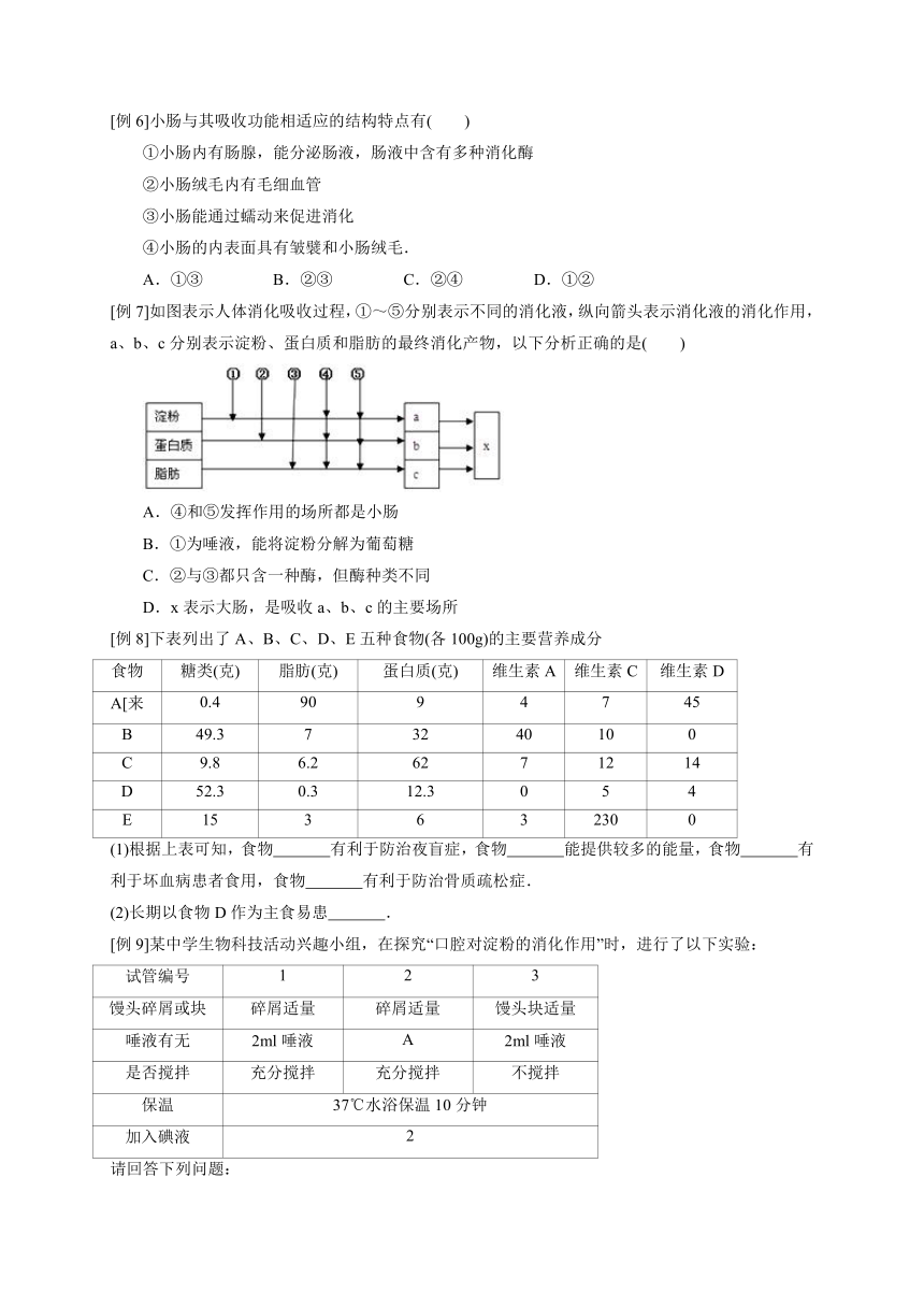 浙教版科学八升九暑假同步提高专题讲义（机构用）第12讲   食物的消化与吸收（含答案）
