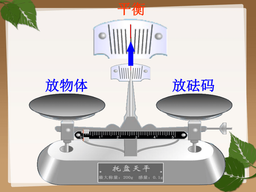 沪教版五上 4.3 方程 第一课时 课件 （共14张ppt）