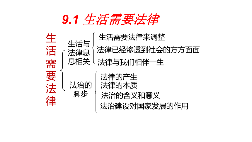 第四单元 走进法治天地  复习课件(共29张PPT)