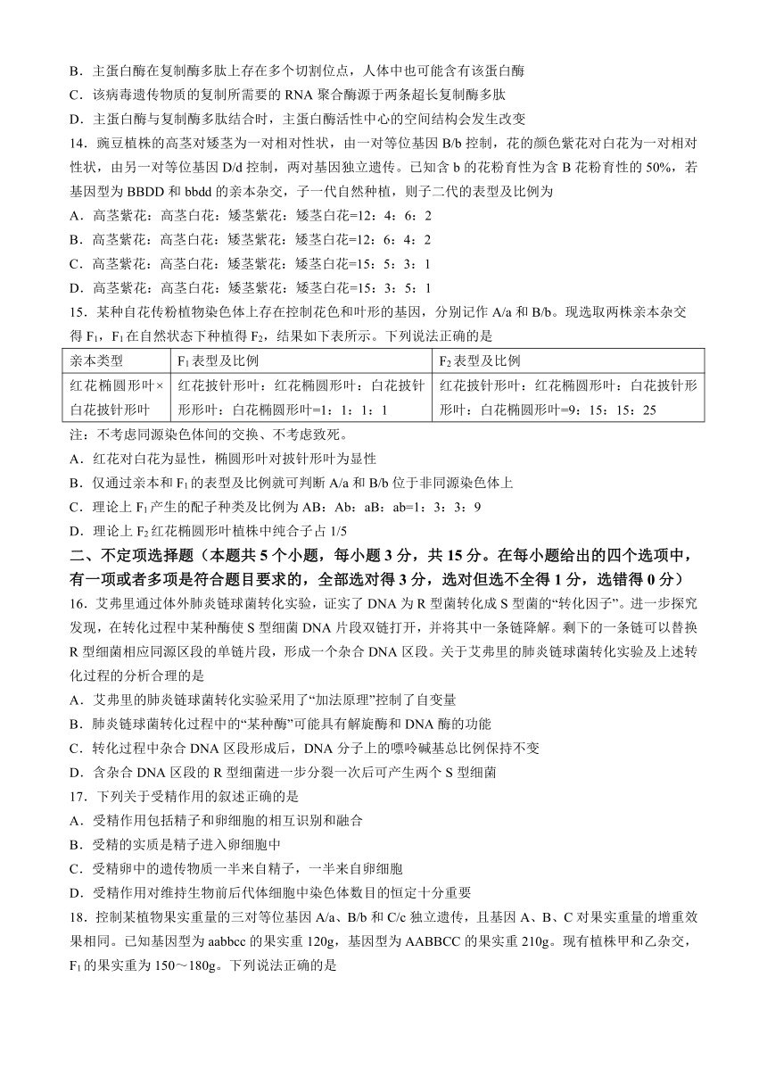 辽宁省实验中学2023-2024学年高一下学期期中阶段测试生物学试题（含答案）