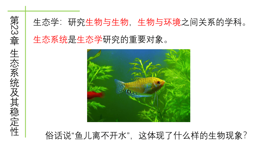 北师大版八年级生物下册教学23.1 生物的生存依赖一定的环境课件 (共25张PPT)