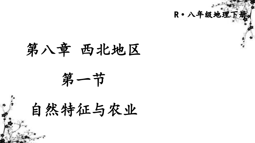 【推荐】人教版地理八年级下册8.1  自然特征与农业 课件（36张ppt）