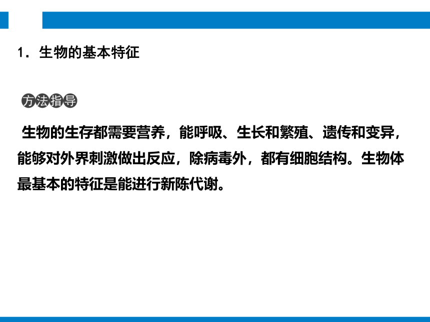 2024浙江省中考科学复习 第1讲　生物的分类（课件 54张PPT）