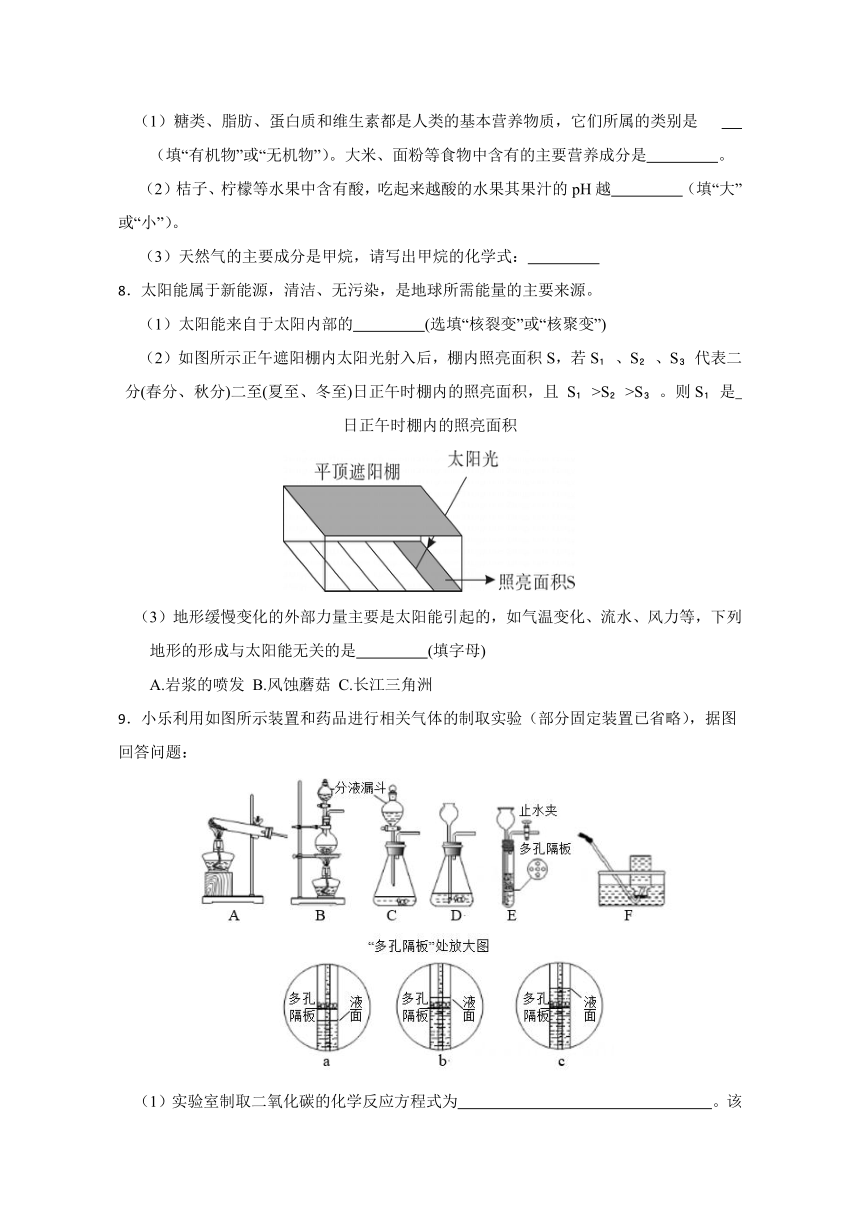 2024年浙江省科学中考考前每日一练 第19卷（含解析）