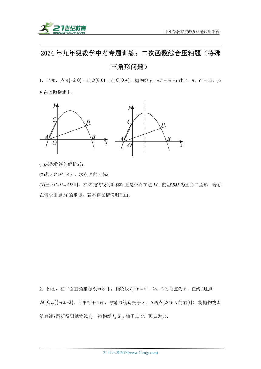 2024年九年级数学中考专题训练：二次函数综合压轴题（特殊三角形问题）（含解析）