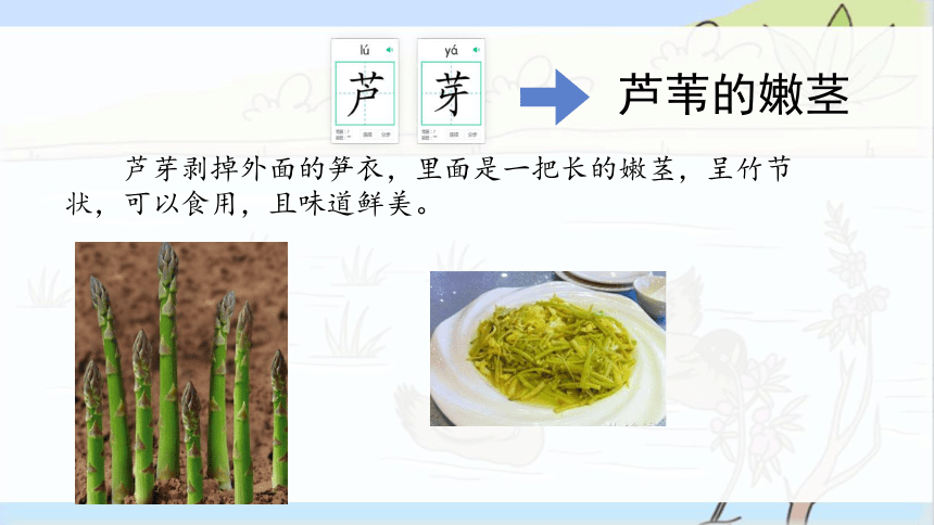 统编版语文三年级下册第一单元 1古诗三首 惠崇春江晚景   课件（共22张PPT）