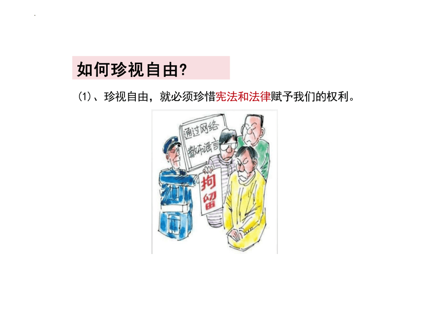 7.2 自由平等的追求 课件共17张PPT)-2023-2024学年统编版道德与法治八年级下册