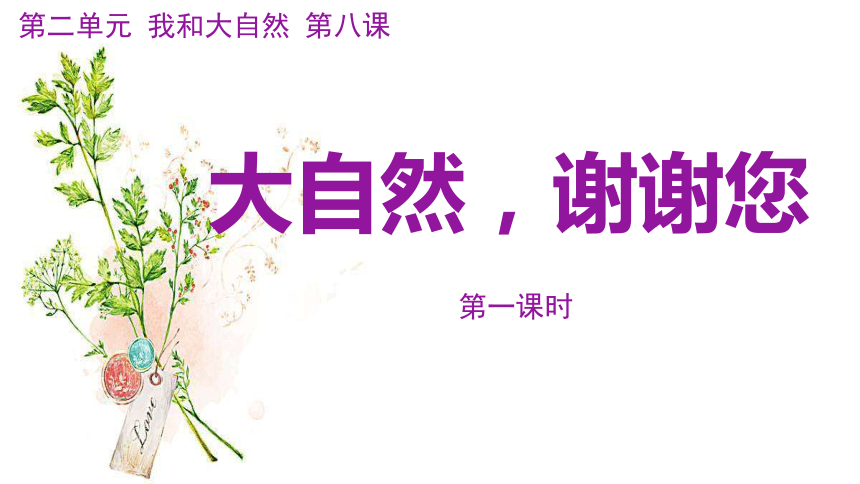 统编版一年级下册2.8《大自然，谢谢您》 第一课时 课件（共55张PPT）