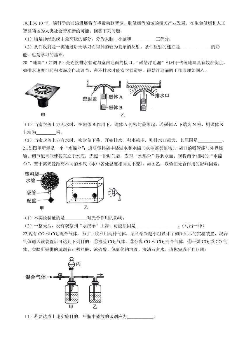 浙江省金华市金东区2024年九年级学生学业水平检测卷 科学试题（含答案）