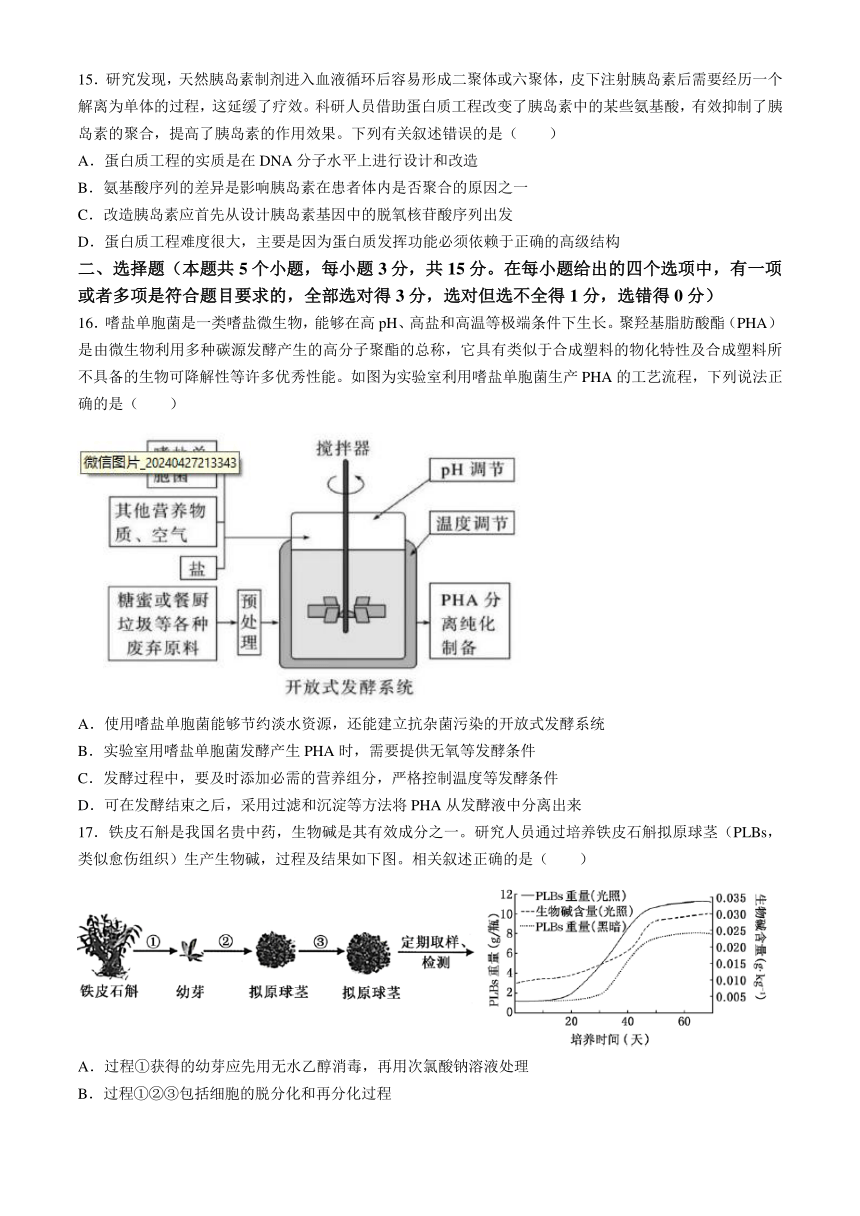 辽宁省实验中学2023-2024学年高二下学期期中阶段测试生物学试题（含答案）