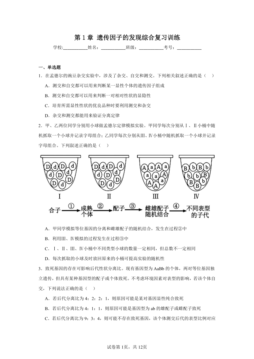 第1章遗传因子的发现综合复习训练（含解析）2023——2024学年高生物人教版（2019）必修2遗传与进化