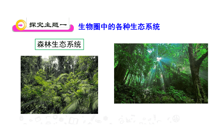 2020年秋苏教版八年级上册生物20.1 生物圈中的各种生态系统 课件(共29张PPT)
