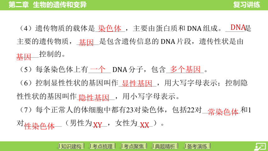 第一篇 第六单元 第二章 生物的遗传和变异  课件(共43张PPT) 2024中考生物北师版总复习专题突破(冀少版)